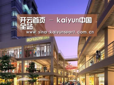 案例展示一(图1)