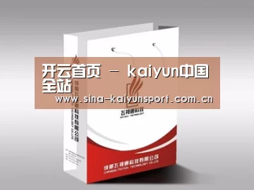 项目名称十三