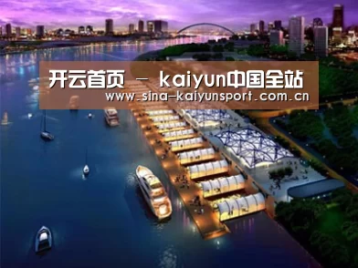 案例展示八