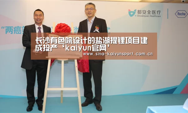 长沙有色院设计的盐湖提锂项目建成投产‘kaiyun官网’(图2)