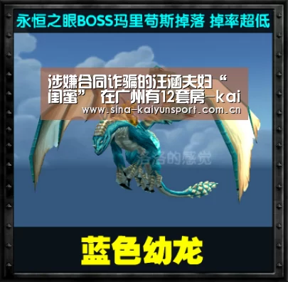 涉嫌合同诈骗的汪涵夫妇“闺蜜” 在广州有12套房-kaiyun官方网站(图1) kaiyun官网