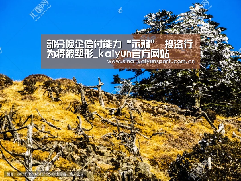 部分险企偿付能力“示弱”  投资行为将被塑形_kaiyun官方网站(图1)