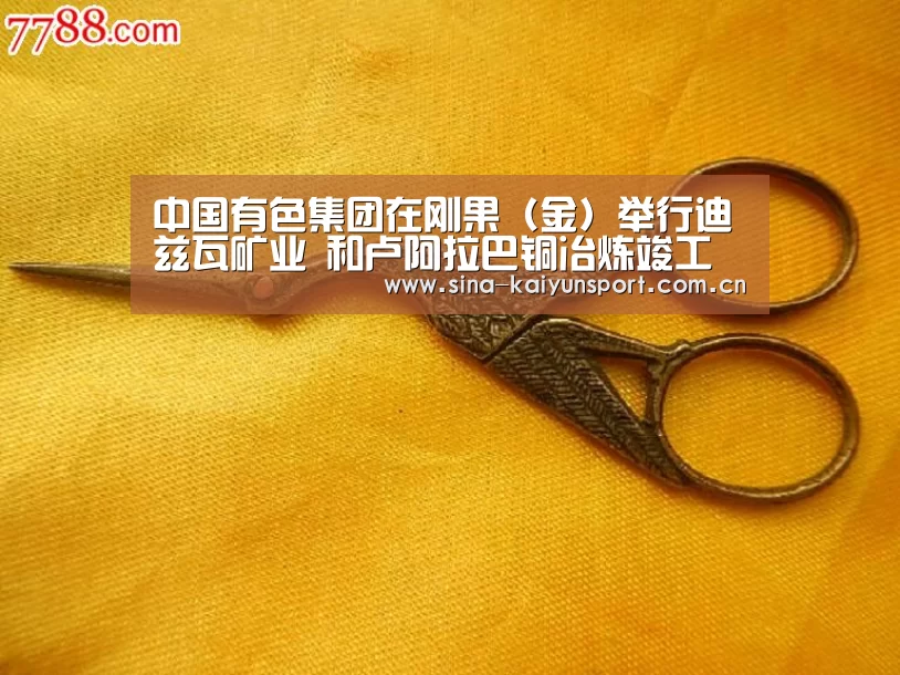 中国有色集团在刚果（金）举行迪兹瓦矿业 和卢阿拉巴铜冶炼竣工投产仪式_kaiyunapp(图1)