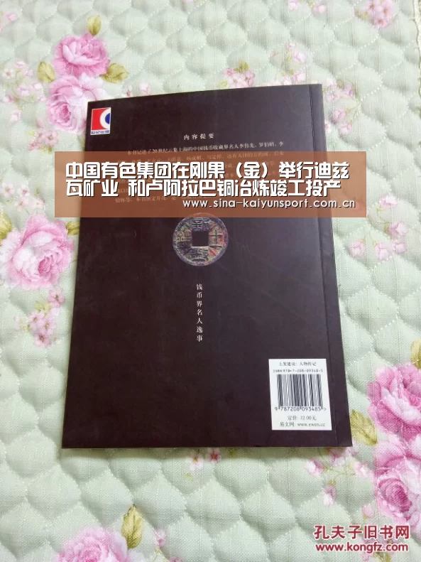 中国有色集团在刚果（金）举行迪兹瓦矿业 和卢阿拉巴铜冶炼竣工投产仪式_kaiyunapp(图2)